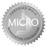 MICRO mold remediation certified handyman Castle Rock CO